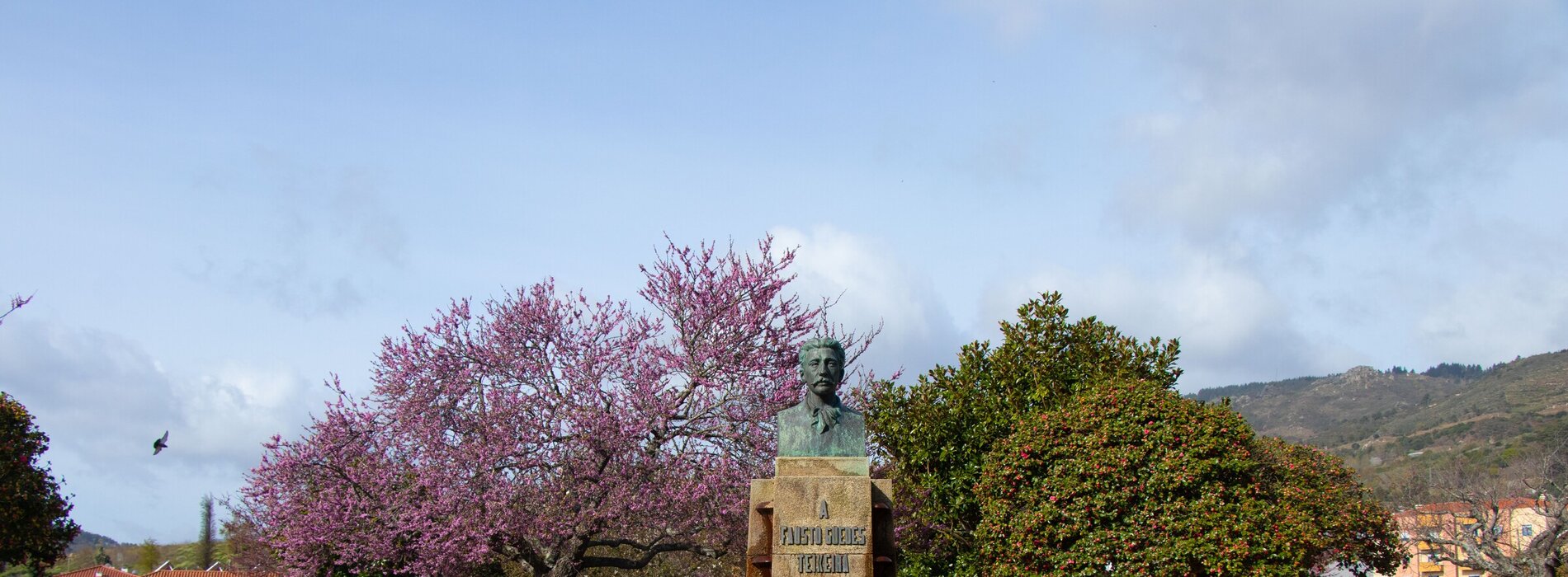 jardim do campo