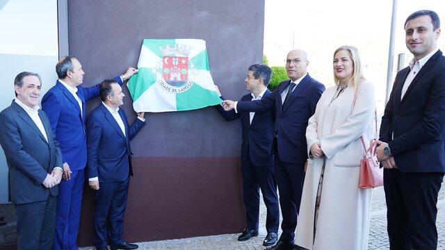 deloitte_polo_estgl_nov2024