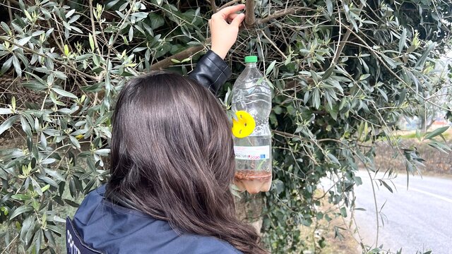 combate_vespa_asiatica_abril2025