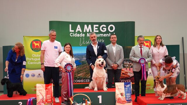 exposicao_canina_nacional_junho2025