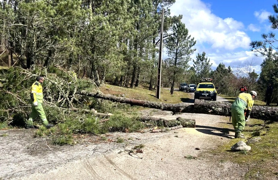 Depressão Martinho provoca estragos