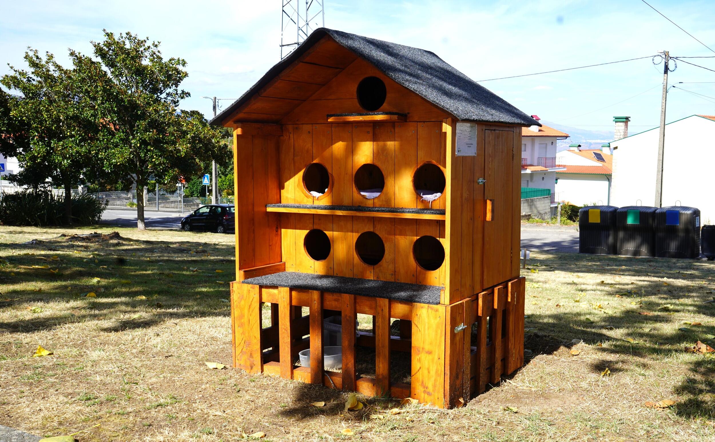 Gatos de rua ganham novos abrigos em Lamego