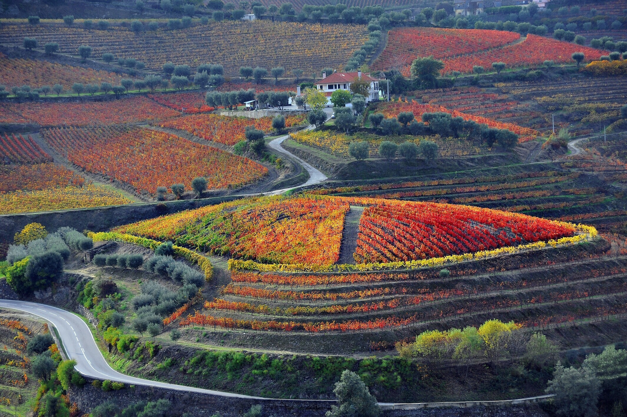 Investimento Produtivo na Bioeconomia/ Modernização (Agroindústria)