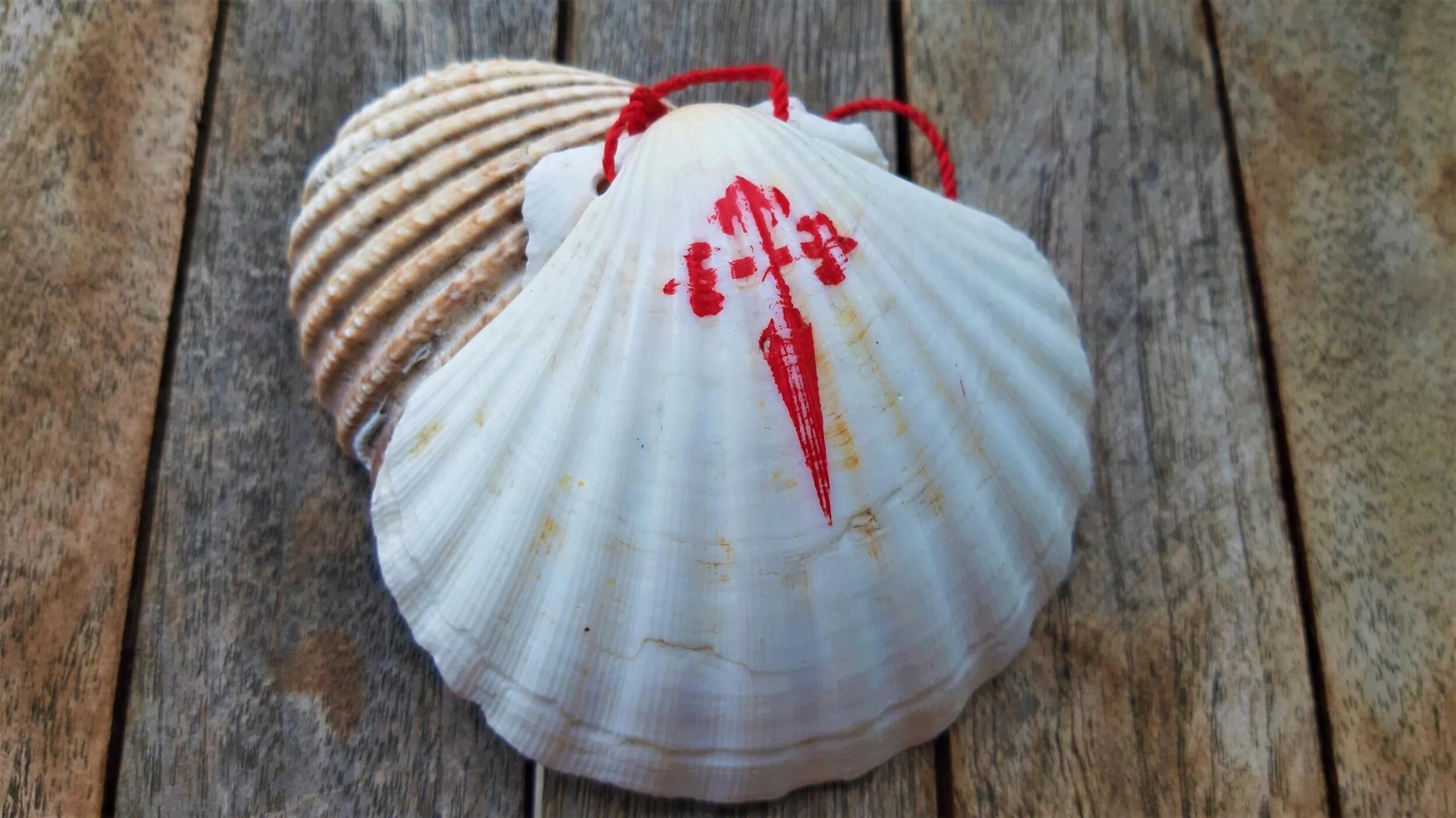 20201117_141700-scaled